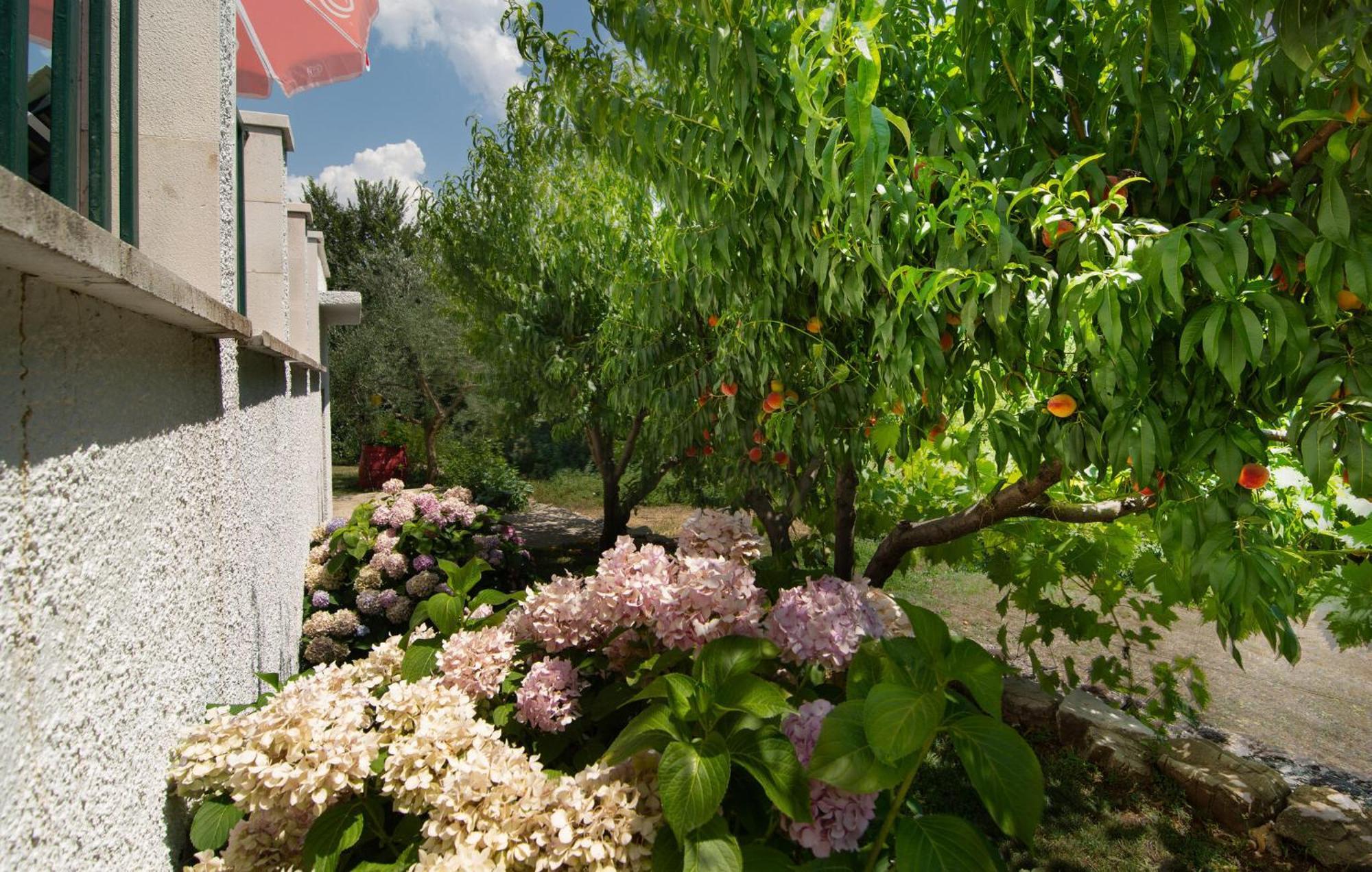 Holiday home Podaspilje I Svinisce Exterior foto